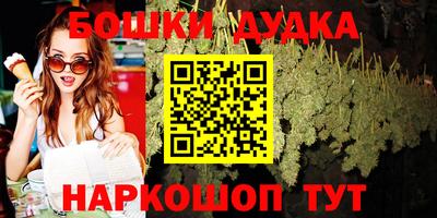 мдпв Обь