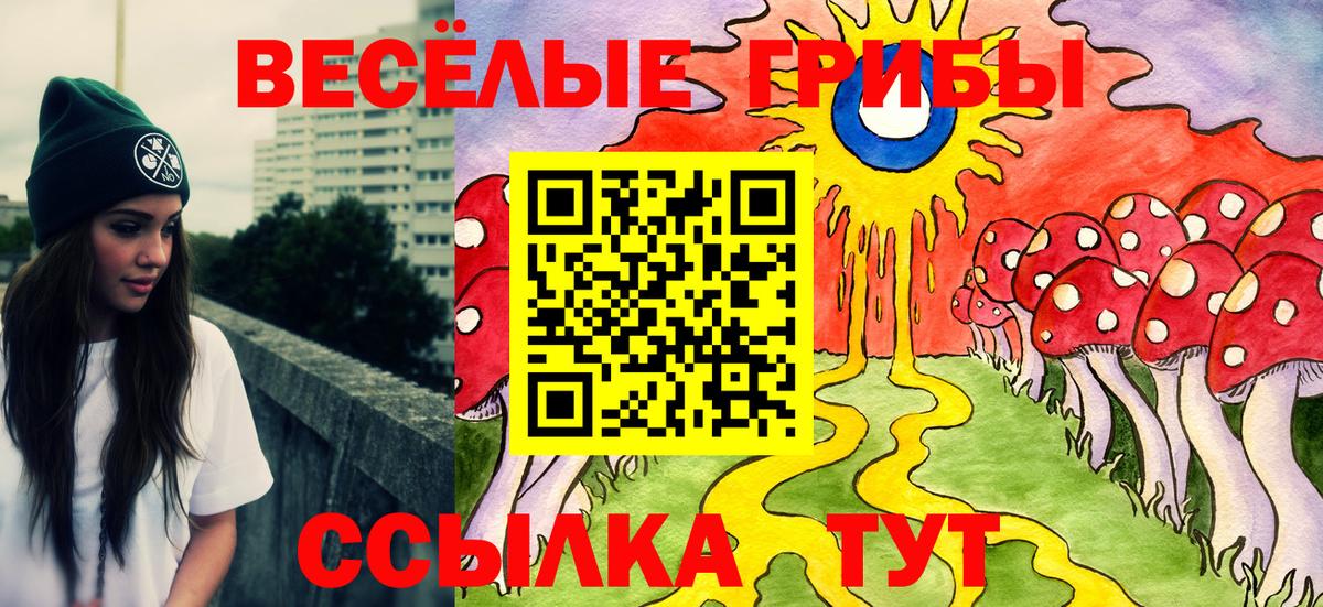 Галлюциногенные грибы прущие грибы  Вход с VPN  Галлюциногенные грибы MAGIC MUSHROOMS  Тихорецк 