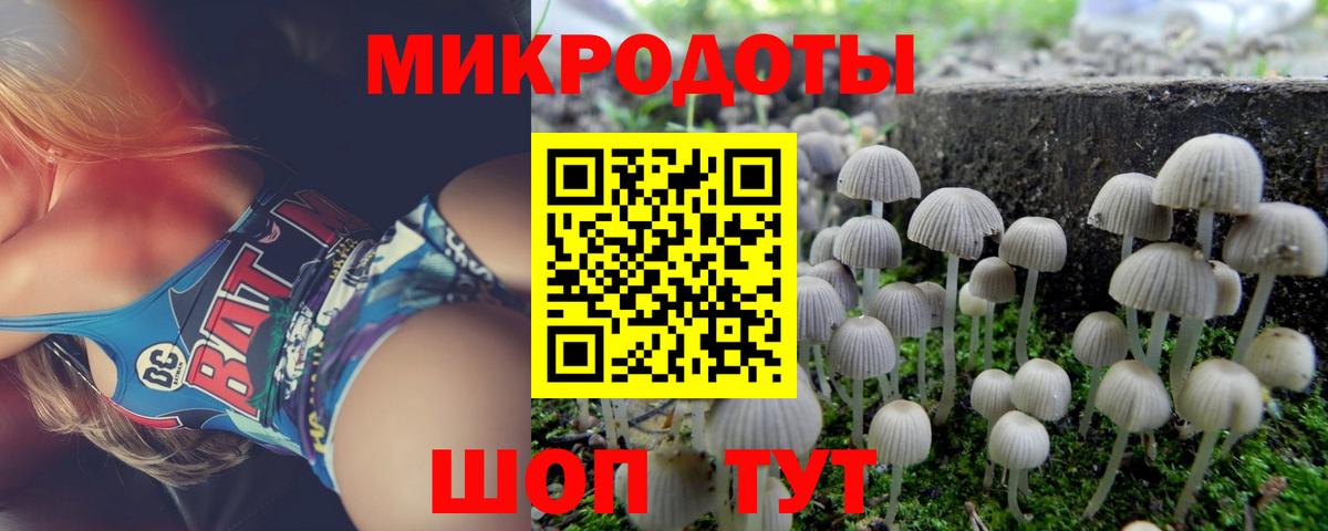 Галлюциногенные грибы Psilocybine cubensis Тихорецк